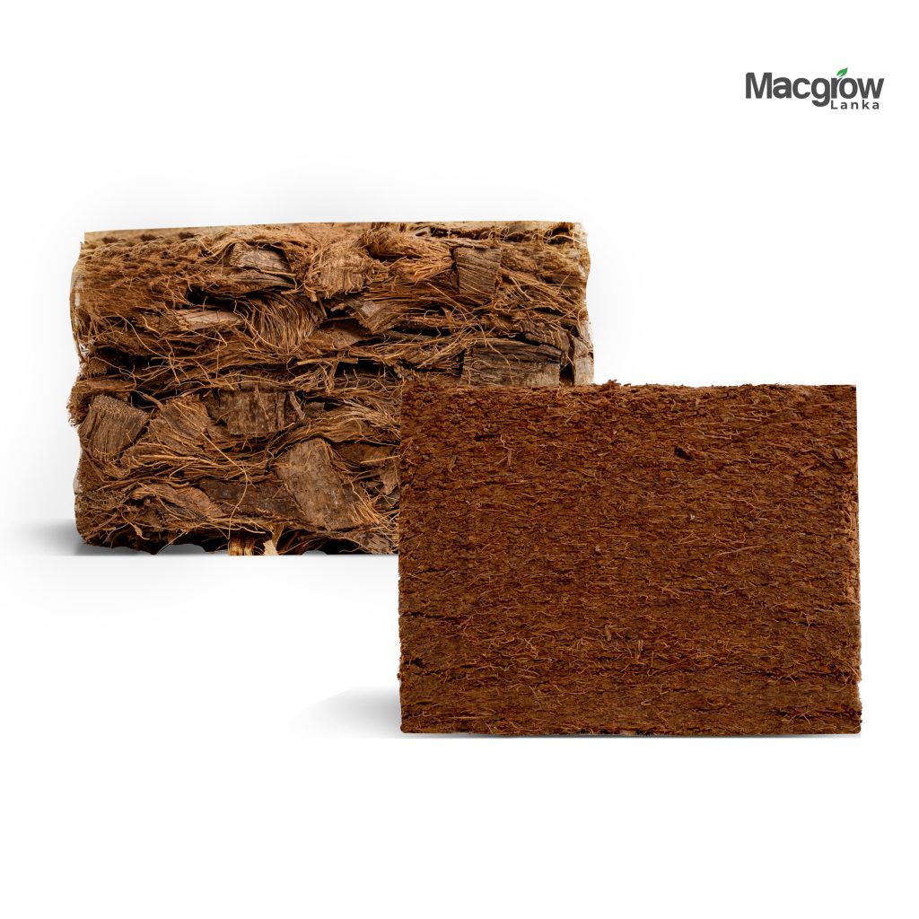 Macgrow Coco Peat Brick